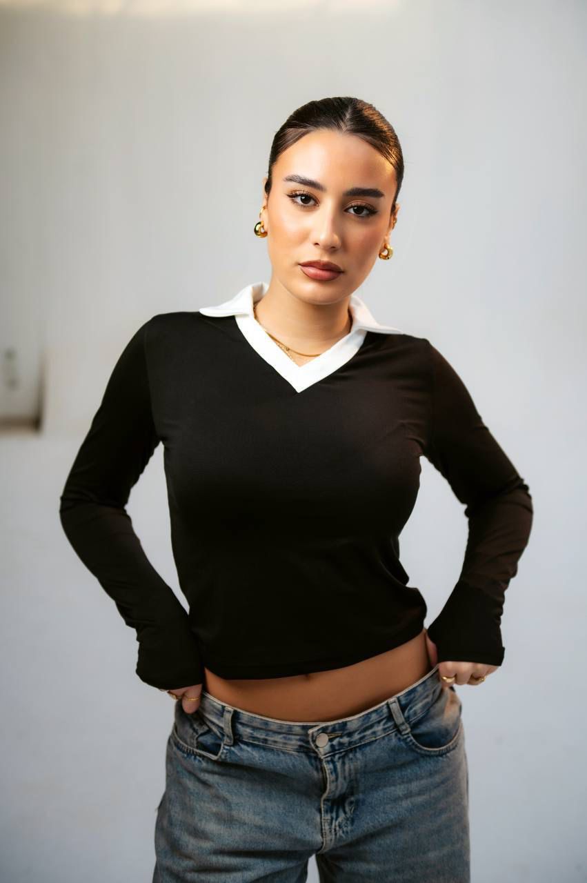 Collared V neck long sleeve top
